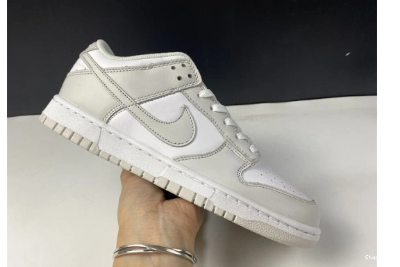 Dust" Nike Low DD1503-103 "Photon Dunk 1107